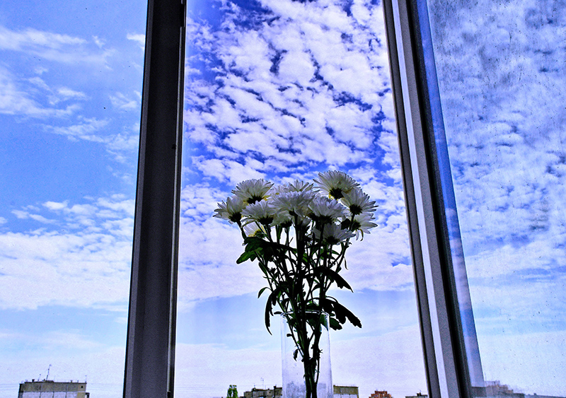 DSC_721512.jpg