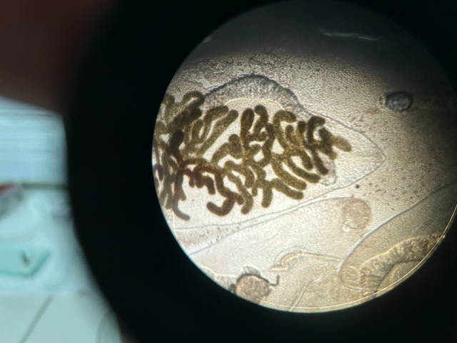 exGa5eWlmXQckrCQ6kwgTxyc_KwhtF_dhUDzNwaLB8_fLnT2f6iuXemvH5X0ivP9JDeaBfcPFioftIK_nCWUyRRt (1).jpg exGa5eWlmXQckrCQ6kwgTxyc_KwhtF_dhUDzNwaLB8_fLnT2f6iuXemvH5X0ivP9JDeaBfcPFioftIK_nCWUyRRt (1).jpg