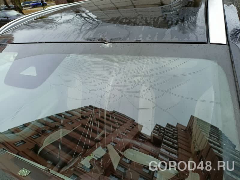 8c0ea032-7279-4d29-8833-6f4e60e4c3fe.jpg+2025-11-12-11.30.34+niz.jpg 8c0ea032-7279-4d29-8833-6f4e60e4c3fe.jpg+2025-11-12-11.30.34+niz.jpg