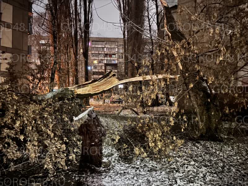 photo_2025-12-13_09-26-40 (2).jpg+2025-12-13-09.33.04.jpg