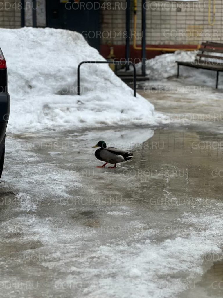 IMG_0121.jpeg+2026-03-02-15.08.35.jpg IMG_0121.jpeg+2026-03-02-15.08.35.jpg