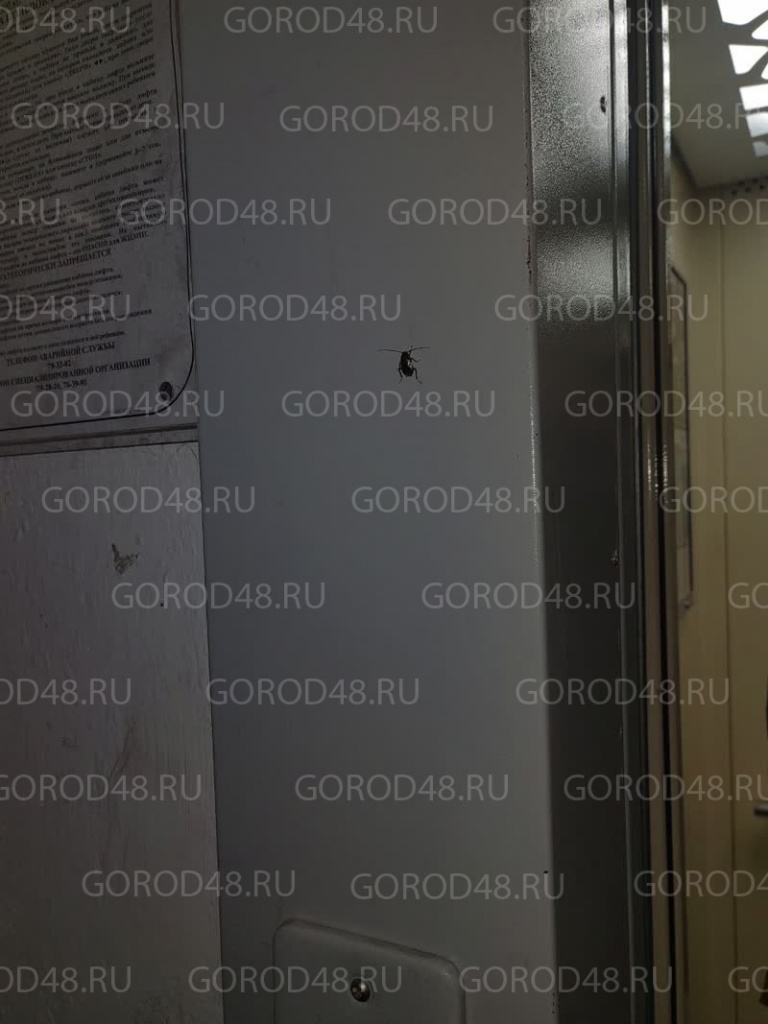 IMG_0769.jpeg+2025-10-29-09.51.34.jpg IMG_0769.jpeg+2025-10-29-09.51.34.jpg