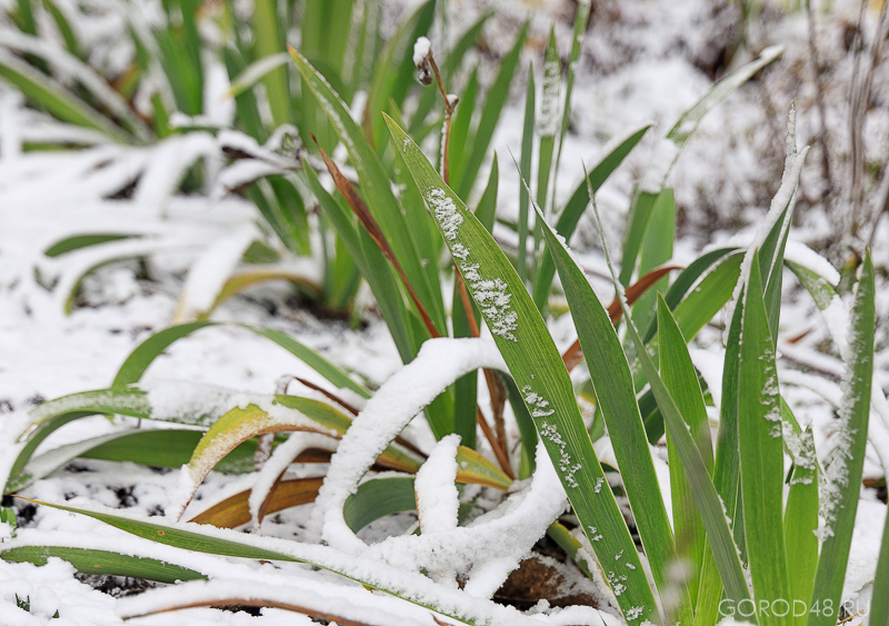 IMG_8632.jpg IMG_8632.jpg