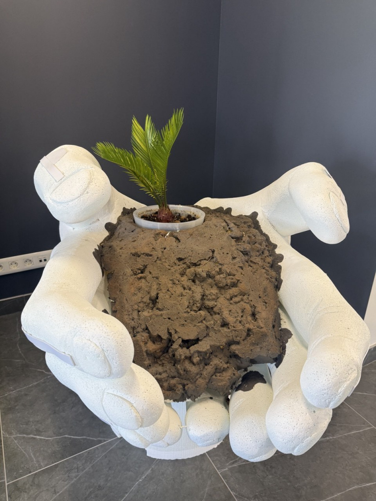 IMG_9592.jpeg IMG_9592.jpeg