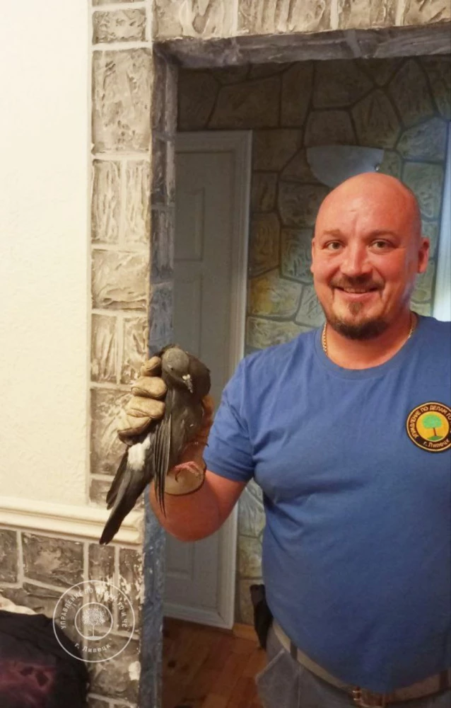 2xqf8nc3mibnx6n9ndltpnjuv7r01f39 (1).webp