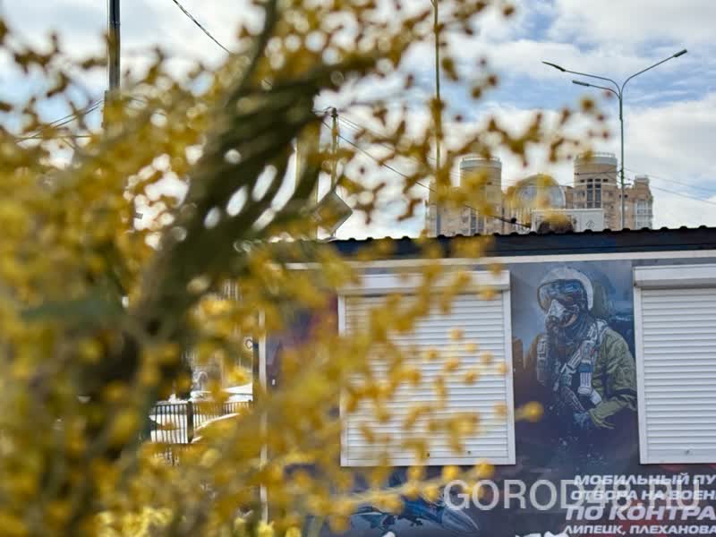 IMG_0268.jpeg+2026-03-04-10.12.34+niz.jpg IMG_0268.jpeg+2026-03-04-10.12.34+niz.jpg