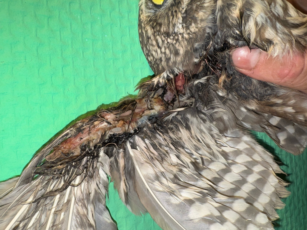 yKZopjUoaXDNBKmgfm9KVxiCBmgWPTZtCib9yDx8ATBv7lmMB99sVxDlUsSEMYY0GUtnAMrjX1wfgNFIdkkhJfce.jpg yKZopjUoaXDNBKmgfm9KVxiCBmgWPTZtCib9yDx8ATBv7lmMB99sVxDlUsSEMYY0GUtnAMrjX1wfgNFIdkkhJfce.jpg