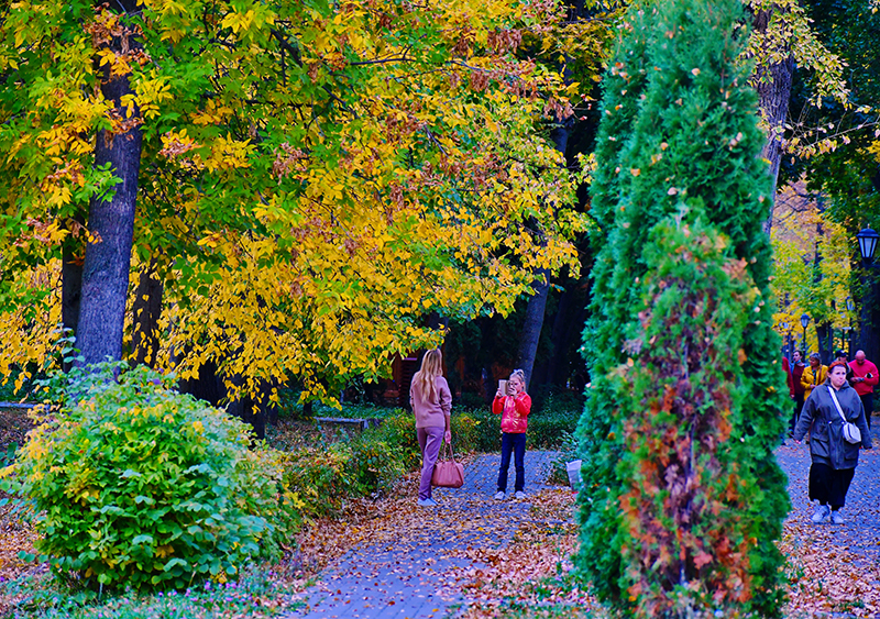 DSC_181012.jpg DSC_181012.jpg