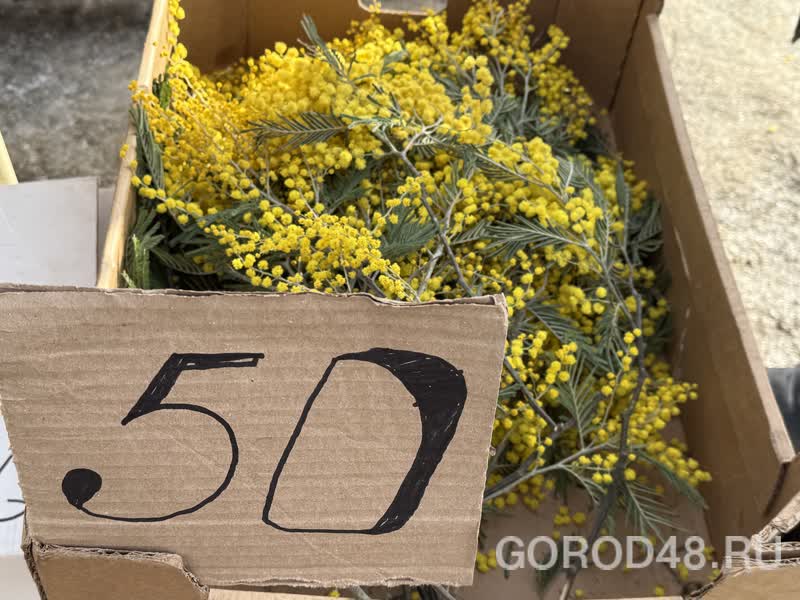 IMG_0262.jpeg+2026-03-04-10.12.34+niz.jpg IMG_0262.jpeg+2026-03-04-10.12.34+niz.jpg