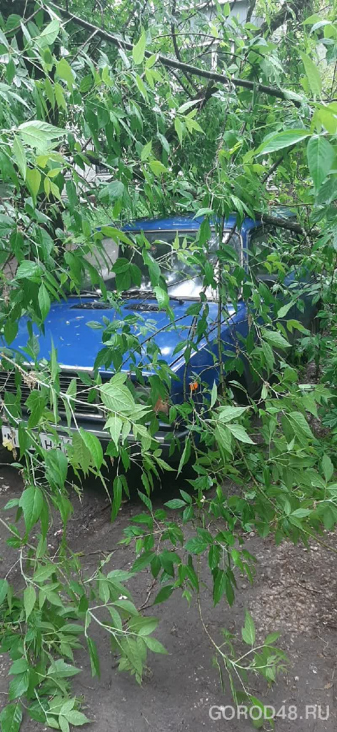 космонавтов 6.jpg+2022-06-01-16.18.02.jpg космонавтов 6.jpg+2022-06-01-16.18.02.jpg