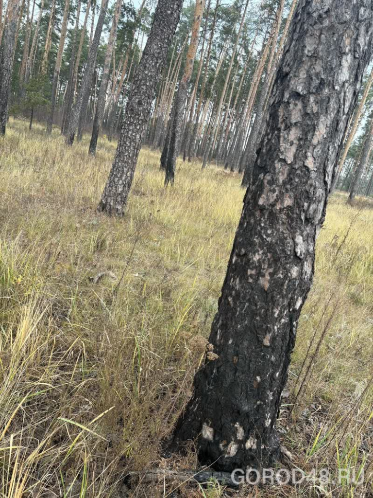 WhatsApp Image 2025-11-10 at 11.35.08 (1).jpeg+2025-11-10-11.44.51+niz.jpg