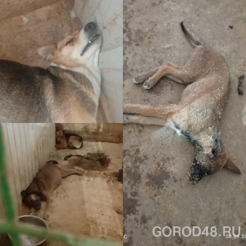 collage.png+2026-03-02-11.16.04+niz.jpg collage.png+2026-03-02-11.16.04+niz.jpg