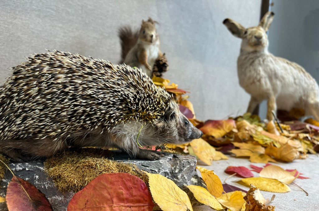 yR5u5kE7LopflJ8OgpeMvS6EODj-dpdGAKpw6H9wewMWyJyI4bNzJ5I9IeOdWRFHbCwZjje1kOi-YrL4NQwWip2i.jpg yR5u5kE7LopflJ8OgpeMvS6EODj-dpdGAKpw6H9wewMWyJyI4bNzJ5I9IeOdWRFHbCwZjje1kOi-YrL4NQwWip2i.jpg