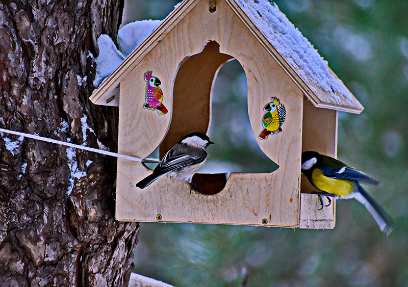 9kt0452czcis1lpsews7zkr0lciv8k0b.jpg 9kt0452czcis1lpsews7zkr0lciv8k0b.jpg