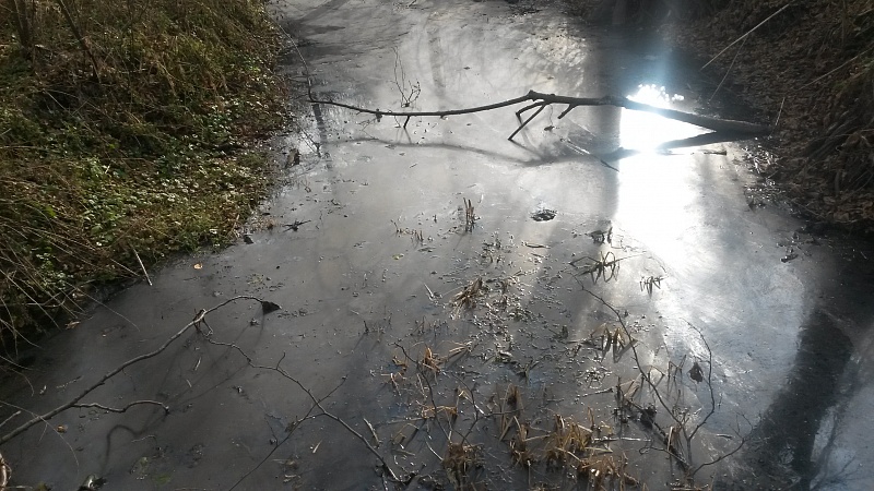 Вода в реке воронеж сегодня. Загрязнение реки Усманки Воронежская область. Грязная река Воронеж в Липецке. Загрязнение реки Усмань.