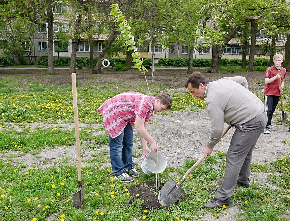 Субботник во дворе дома