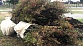 img-small-2