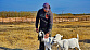 img-small-8