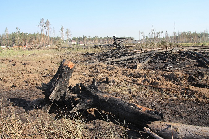 республика марий эл поселок силикатный. погода в головино. погода в силикатном марий эл. медведевский район п. марий эл пос силикатный улица пионерская дом 9 квартиры.