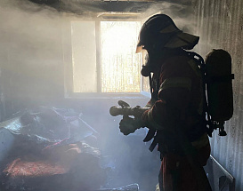 Жильцов горящего дома в Плавице спасали с помощью автолестницы и выносили на руках — огонь охватил два этажа