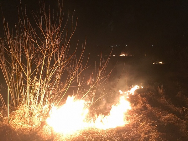 Горящая трава. К чему снится горит трава. К чему снится горит трава. Лесные пожары в республике коми. Горит дом во сне к чему снится.